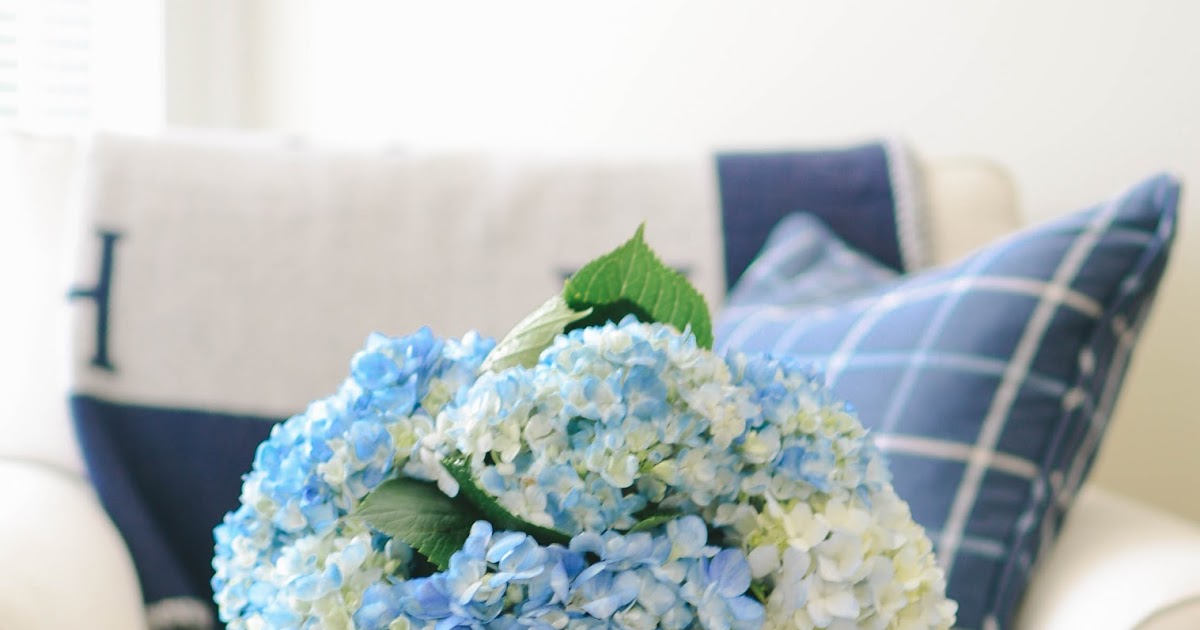 Annabelle Bertles How To Keep Flowers Alive Overnight / How To Keep